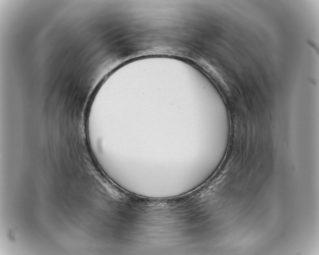 X0000097961230200804211054