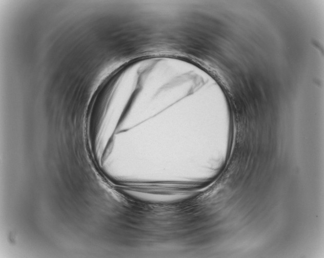 X0000097961231200804211054