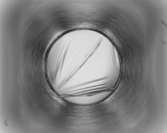 X0000097961232200804211054
