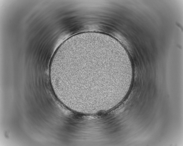X0000097961234200804211054