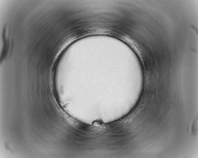 X0000097961235200804211054