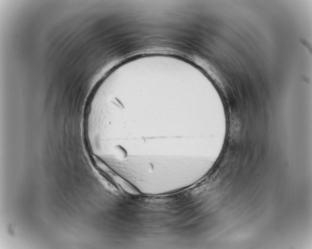 X0000097961237200804211054