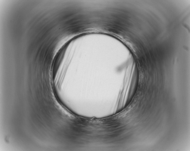 X0000097961239200804211054