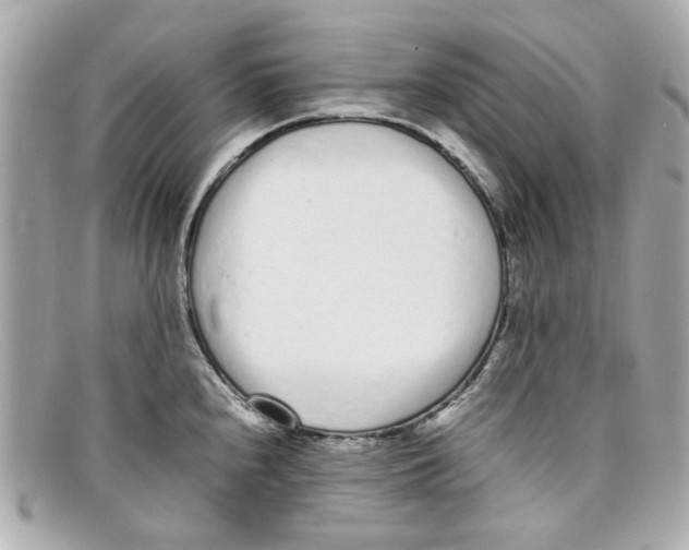 X0000097961240200804211054