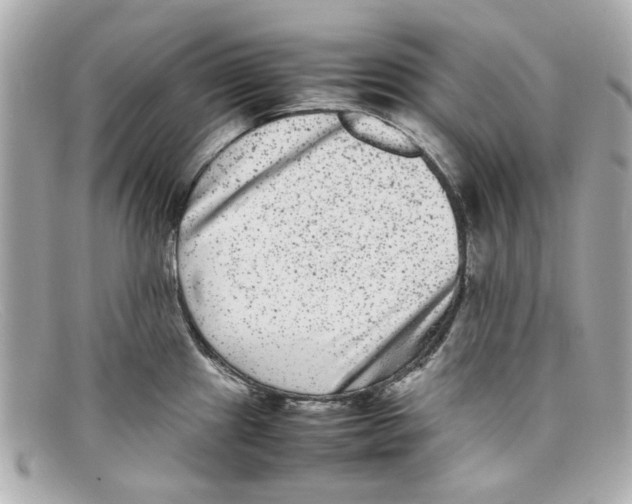 X0000097961241200804211054
