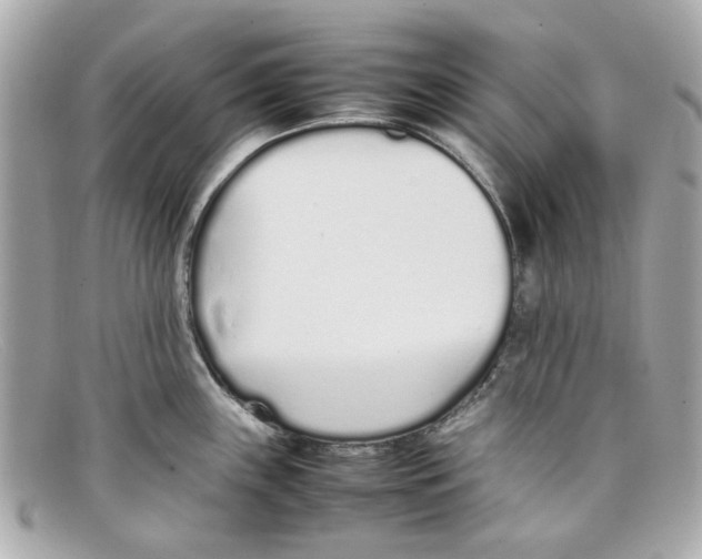 X0000097961243200804211054