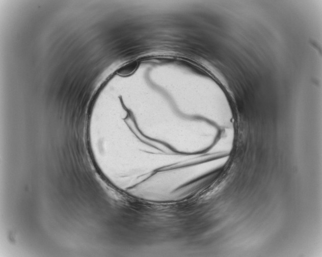 X0000097961245200804211054