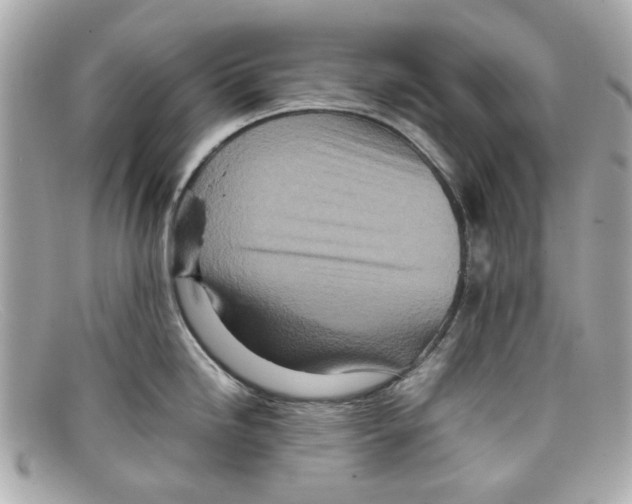 X0000097961246200804211054