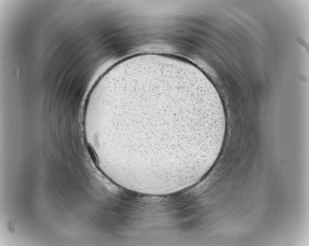 X0000097961248200804211054