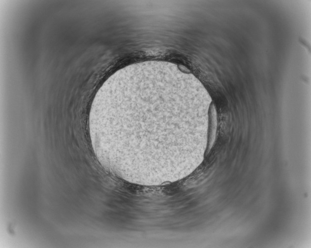 X0000097961249200804211053