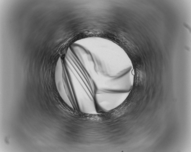 X0000097961250200804211053