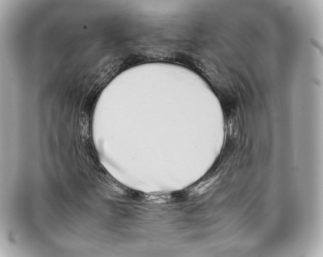 X0000097961251200804211053