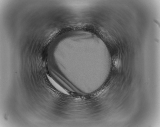 X0000097961252200804211053