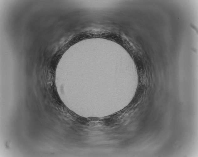 X0000097961253200804211053