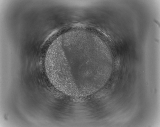 X0000097961254200804211053