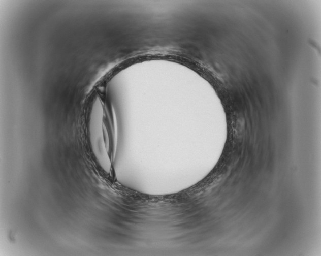X0000097961256200804211053