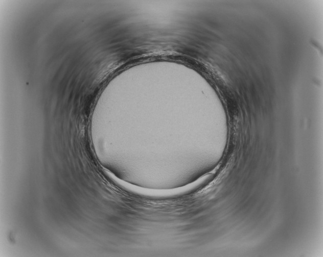 X0000097961257200804211053