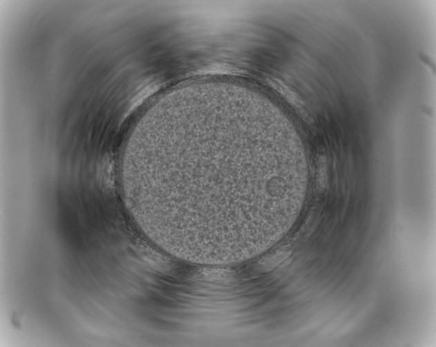 X0000097961258200804211053