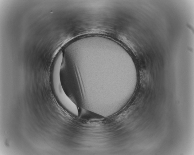 X0000097961260200804211053