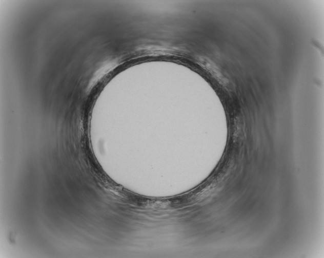 X0000097961261200804211053