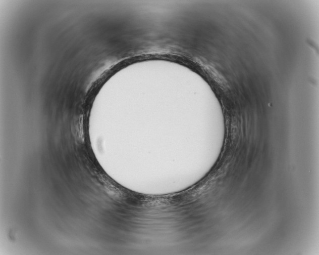 X0000097961262200804211053