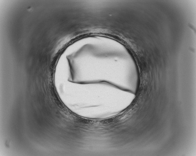 X0000097961263200804211053
