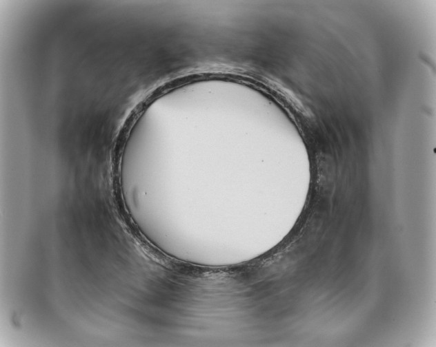 X0000097961264200804211053