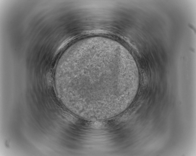 X0000097961266200804211053
