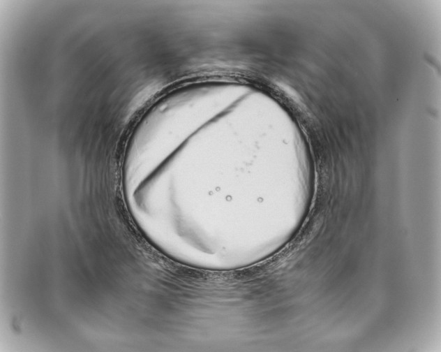 X0000097961267200804211053