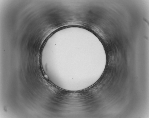 X0000097961268200804211053