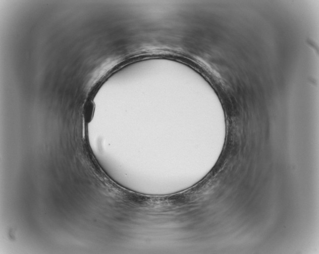 X0000097961269200804211053