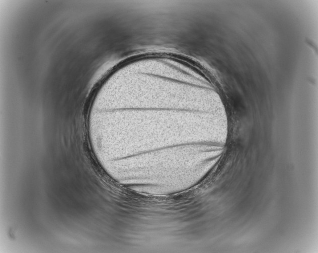 X0000097961271200804211053