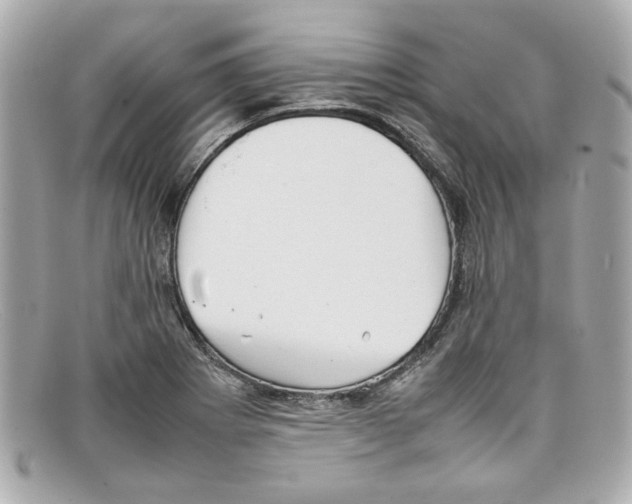 X0000097961273200804211053
