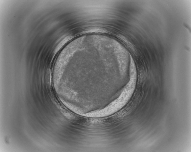 X0000097961274200804211053
