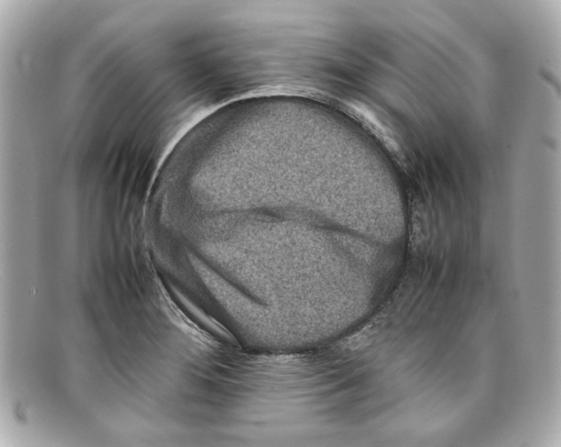 X0000097961276200804211053