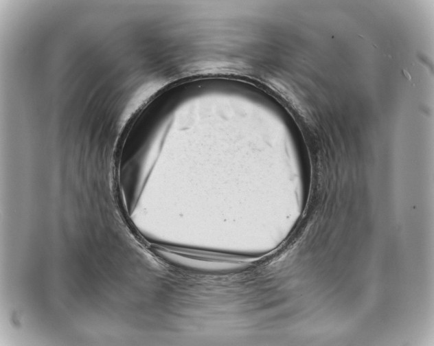 X0000097961277200804211053