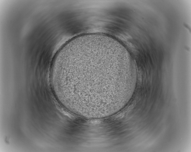 X0000097961278200804211053