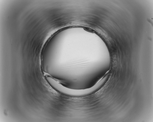 X0000097961280200804211053