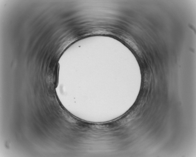 X0000097961281200804211053