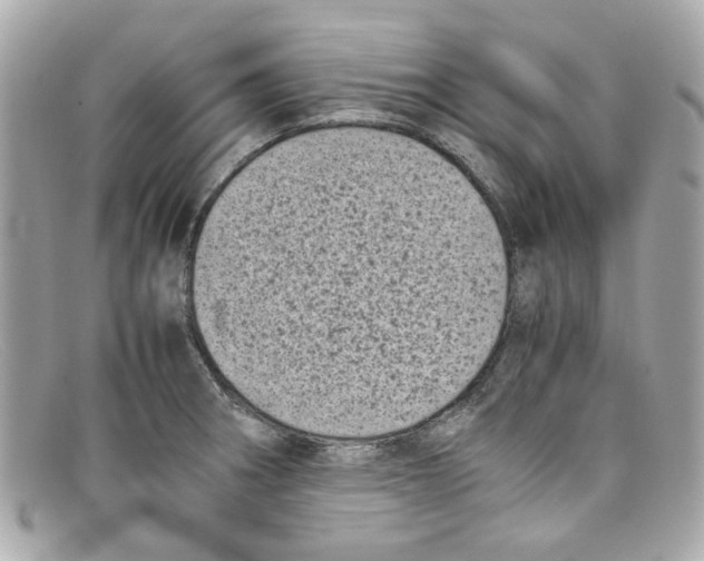 X0000097961282200804211053
