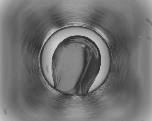 X0000097961283200804211053