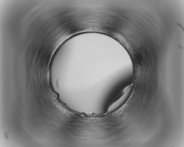 X0000097961284200804211053