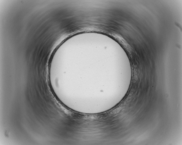 X0000097961286200804211053