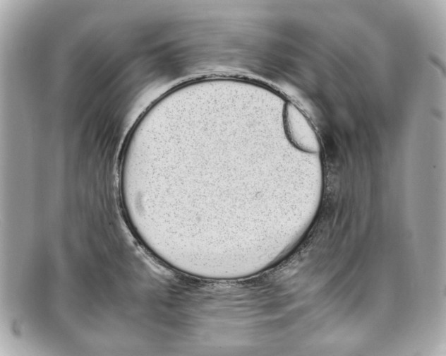 X0000097961287200804211053