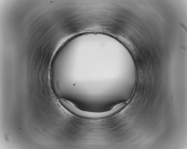 X0000097961288200804211053
