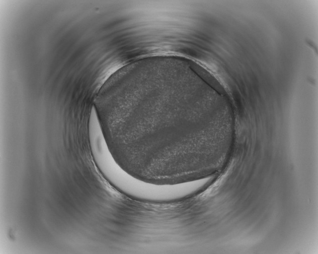 X0000097961289200804211053