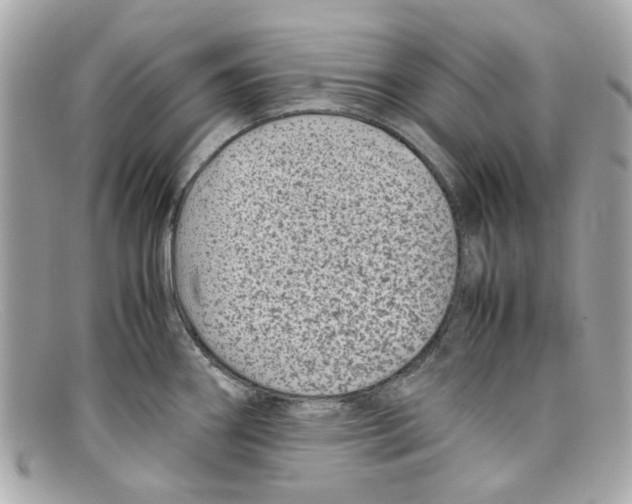 X0000097961290200804211053