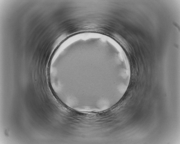 X0000097961291200804211053