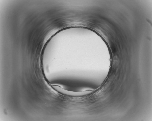 X0000097961293200804211053