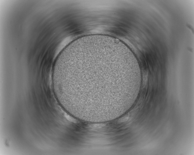 X0000097961294200804211053